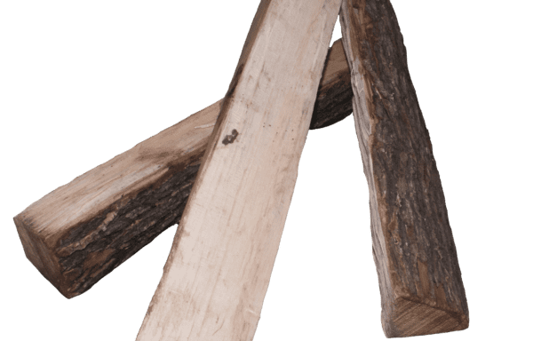 Maple 16″ Dry Log