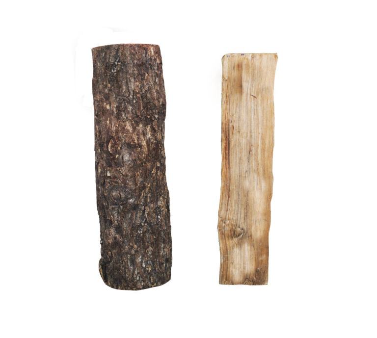 Pecan logs